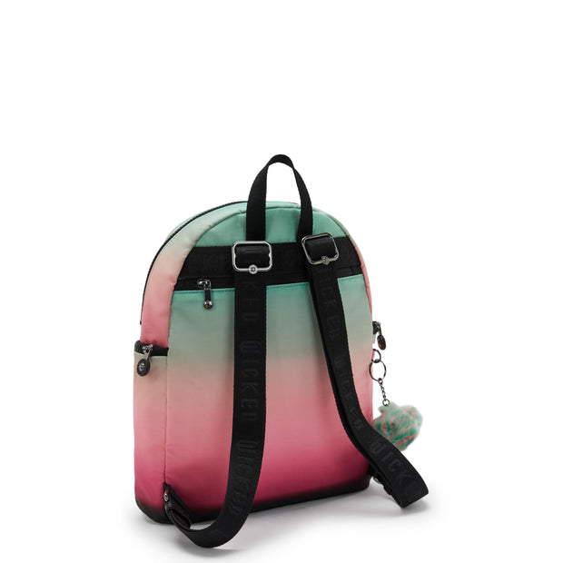 Narrow backpacks online